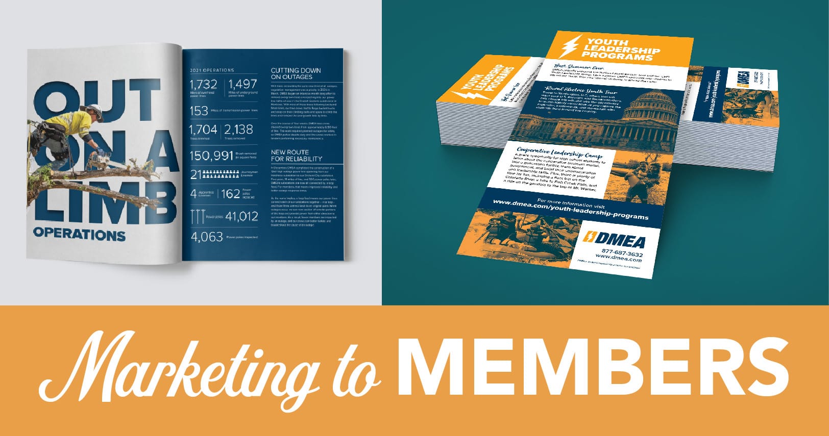 Marketing to Members electric cooperative marketing examples