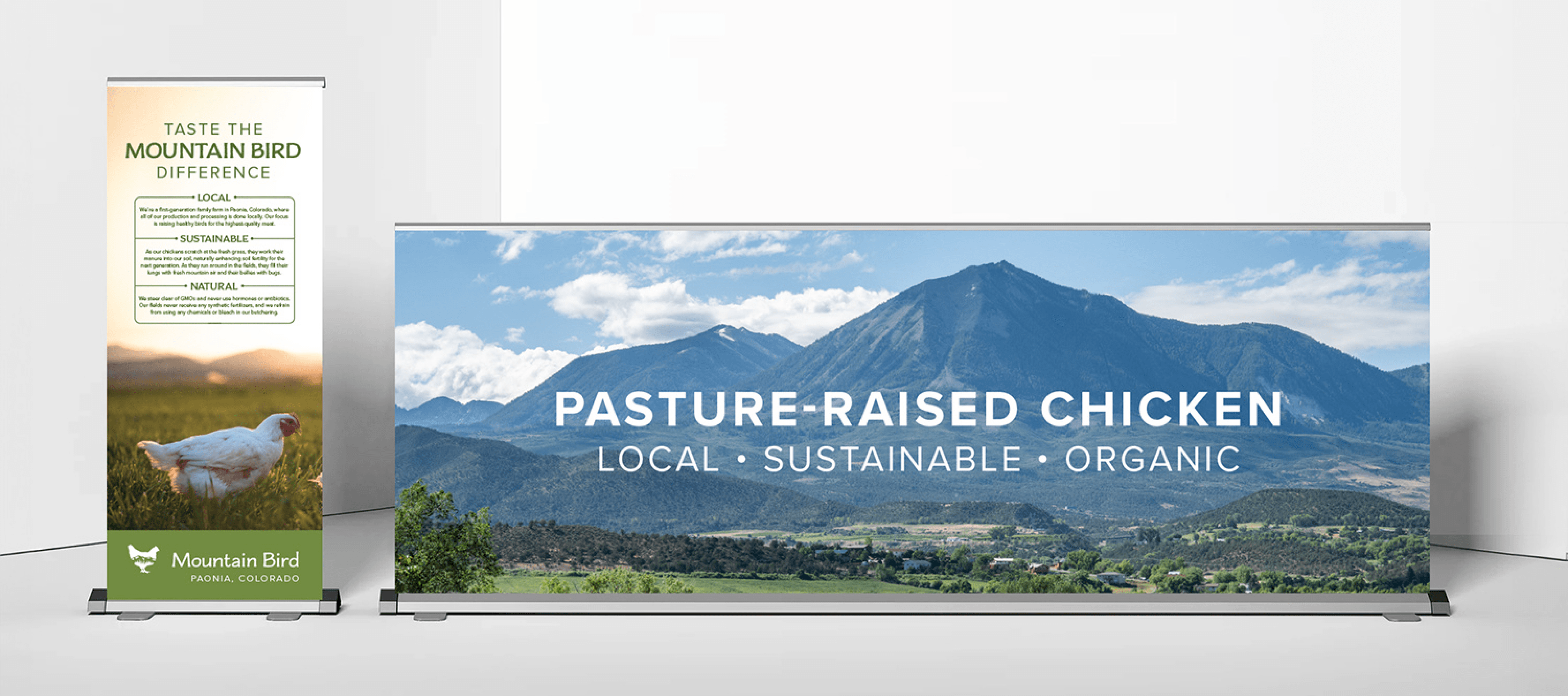 Mountain Bird flyer design