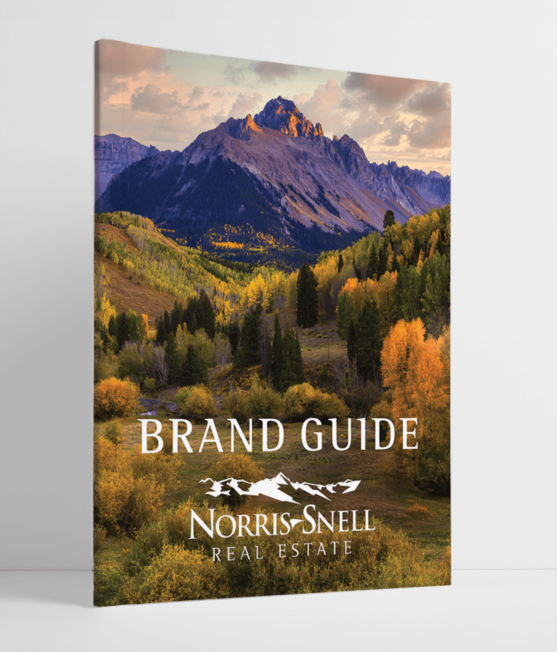 Brand guide Norris Snell