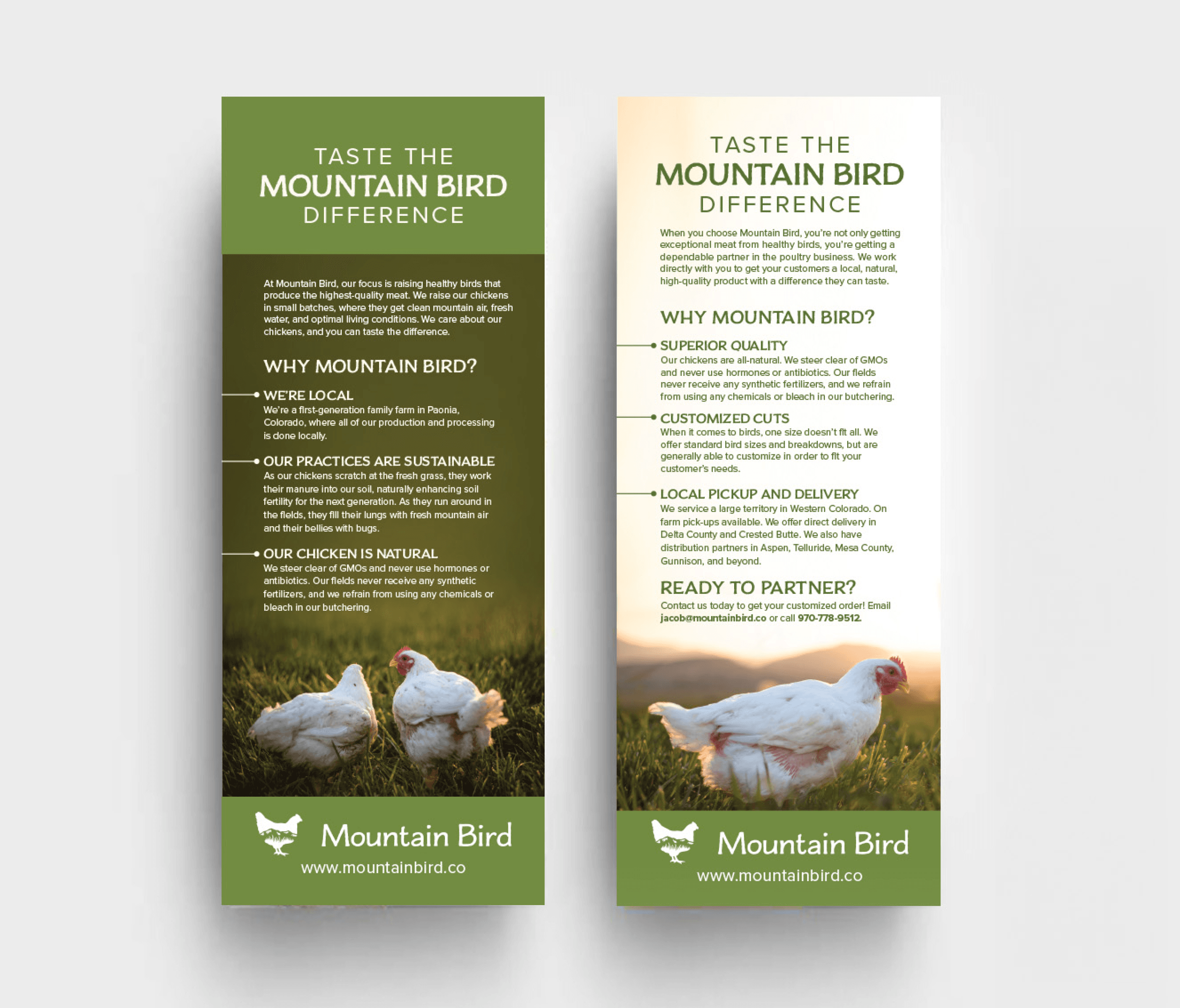 Mountain Bird flyer design