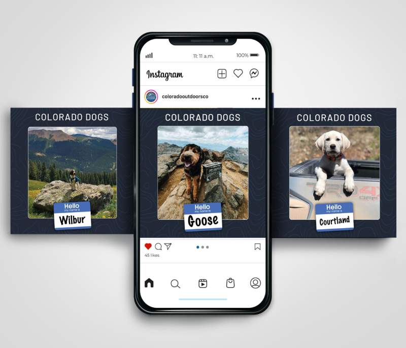 outdoor6 Colorado Outdoors dogs of Colorado