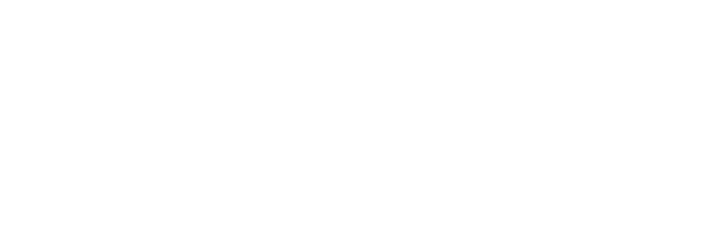 Group 16 (1) Lights, camera, engagement RIFF