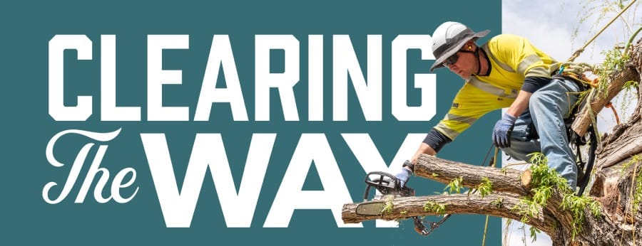 grey-stone-m Vegetation management campaign 2