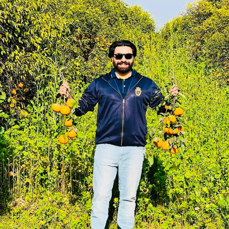 Muhammad-Shoaib-web-designer Muhammad Shoaib web designer